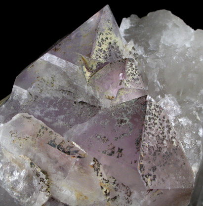 Quartz var. Amethyst from Deer Hill, Stow, Oxford County, Maine