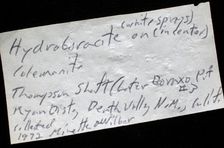 Hydroboracite on Colemanite from Thompson shaft (later renamed Boraxo Pit #3), Ryan District, near Furnace Creek, Death Valley, Inyo County, California (Type Locality for Colemanite)