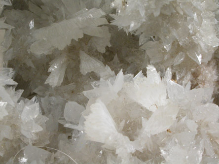 Hydroboracite on Colemanite from Thompson shaft (later renamed Boraxo Pit #3), Ryan District, near Furnace Creek, Death Valley, Inyo County, California (Type Locality for Colemanite)