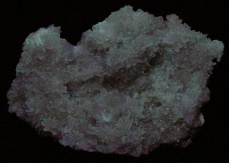 Hydroboracite on Colemanite from Thompson shaft (later renamed Boraxo Pit #3), Ryan District, near Furnace Creek, Death Valley, Inyo County, California (Type Locality for Colemanite)