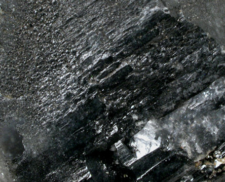 Quartz var. Smoky with Tourmaline inclusions from (Pohndorf Mine), Jefferson County, Montana