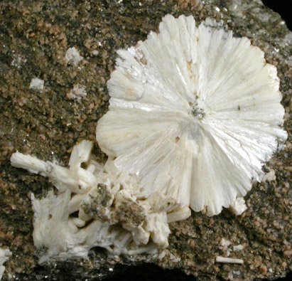 Stilbite from Bill's Brook Dam (Saville Dam), Barkhamsted, Litchfield County, Connecticut