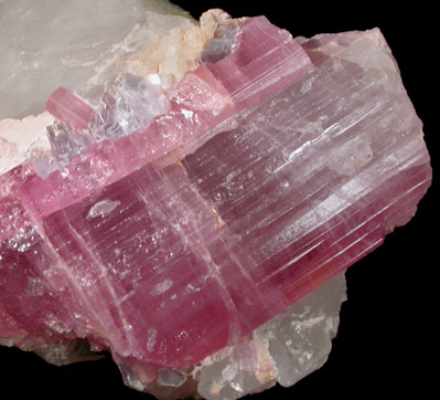 Elbaite var. Rubellite Tourmaline on Quartz with Lepidolite from Himalaya Mine, Mesa Grande District, San Diego County, California