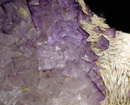 Fluorite on Barite from Caldwell Stone Quarry, Danville, Boyle County, Kentucky