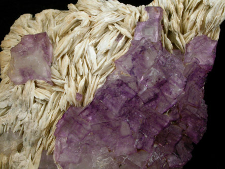 Fluorite on Barite from Caldwell Stone Quarry, Danville, Boyle County, Kentucky