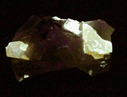 Scheelite in Quartz from Guadalupana Mine, Santa Cruz, Sonora, Mexico