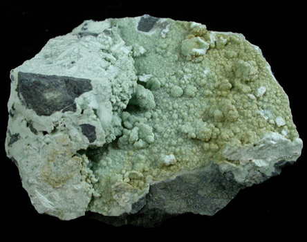 Lizardite (crystallized) from Monte de tre Abati, Piacenza, Italy