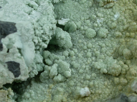Lizardite (crystallized) from Monte de tre Abati, Piacenza, Italy