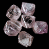 Diamond (six purple-pink octahedral crystals, 1.33 carats total) from Argyle Mine, Kimberley, Western Australia, Australia