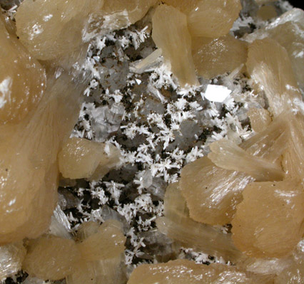 Stilbite, Gypsum, Laumontite, Heulandite, Quartz, Calcite from Prospect Park Quarry, Prospect Park, Passaic County, New Jersey