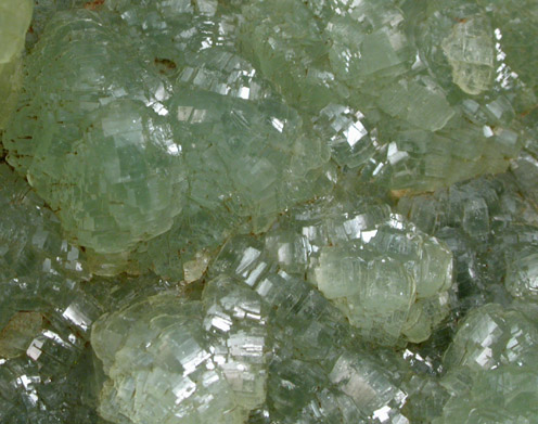 Prehnite from Lane's Quarry, Westfield, Hampden County, Massachusetts