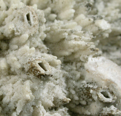 Datolite pseudomorphs after Glauberite from Prospect Park Quarry, Prospect Park, Passaic County, New Jersey