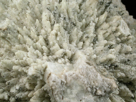 Datolite pseudomorphs after Glauberite from Prospect Park Quarry, Prospect Park, Passaic County, New Jersey