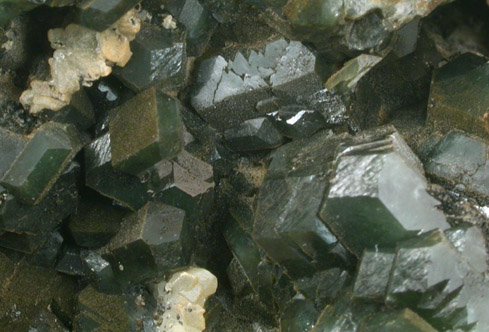 Apophyllite with Celadonite inclusion on Datolite from Millington Quarry, Bernards Township, Somerset County, New Jersey