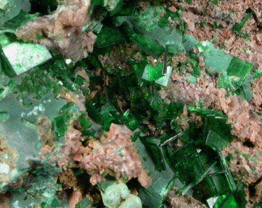 Torbernite from Kolwezi Mining District, 240 km WNW of Lubumbashi, Katanga Copperbelt, Lualaba Province, Democratic Republic of the Congo