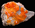 Wulfenite and Mimetite on Barite from Rowley Mine, 20 km northwest of Theba, Painted Rock Mountains, Maricopa County, Arizona