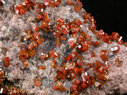 Vanadinite from Mammoth-St. Anthony Mine, Tiger, Mammoth District, Pinal County, Arizona