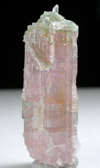 Elbaite Tourmaline, Quartz, Muscovite from Mount Mica Quarry, Paris, Oxford County, Maine