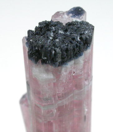 Elbaite and Foitite Tourmaline from Mount Mica Quarry, Paris, Oxford County, Maine