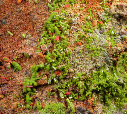 Wulfenite and Pyromorphite on Pyrophyllite from Allah Cooper (Valcooper) Mine, Contrary Creek District, near Mineral, Louisa County, Virginia