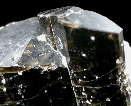 Fluoro-richterite (Fluororichterite) from Wilberforce, Ontario, Canada