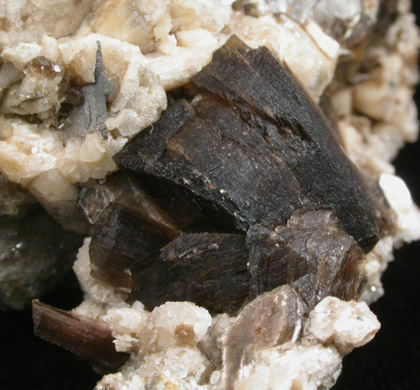 Phlogopite and Microcline from Road cut on Montcerf-Bois Franc Road, 3.2 km north of Bois Franc, Qubec, Canada