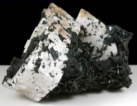 Aegirine and Albite from Mont Saint-Hilaire, Qubec, Canada