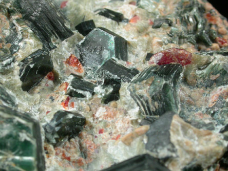 Clinochlore with Chondrodite from Tilly Foster Iron Mine, near Brewster, Putnam County, New York