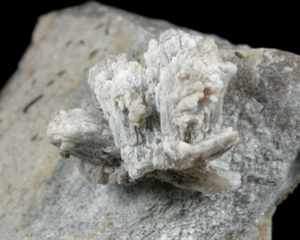 Howlite from Bras D'Or Lake, Iona, Cape Breton Island, Nova Scotia, Canada