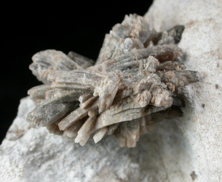 Howlite from Bras D'Or Lake, Iona, Cape Breton Island, Nova Scotia, Canada