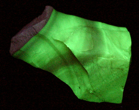 Opal (fluorescent) from Virgin Valley, Humboldt County, Nevada
