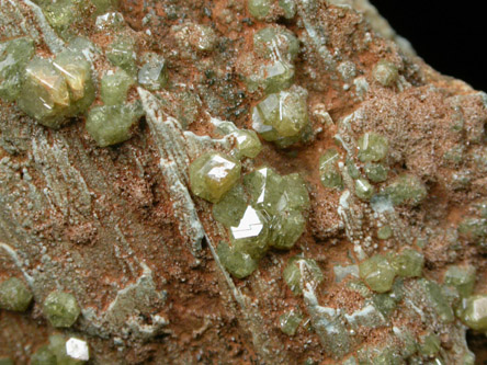 Andradite var. Topazolite Garnet from New Idria District, San Benito County, California