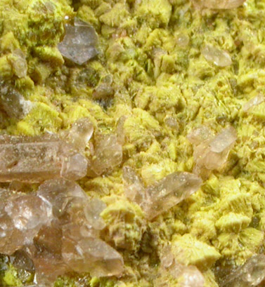 Uranophane and Barite from Poison Canyon, Grants District, McKinley County, New Mexico