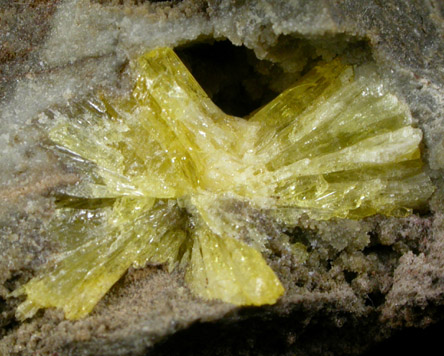 Legrandite with Smithsonite from Flor de Pea Mine, Lampazos, Nuevo Leon, Mexico (Type Locality for Legrandite)