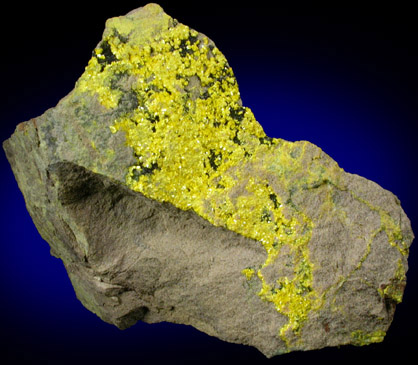 Tyuyamunite from Ridenaur Mine, Prospect Canyon District, Coconino County, Arizona