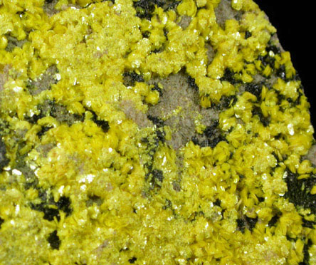 Tyuyamunite from Ridenaur Mine, Prospect Canyon District, Coconino County, Arizona