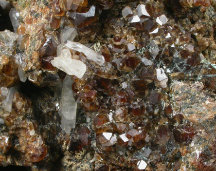 Grossular Garnet, Epidote, Quartz from Denny Mountain, King County, Washington