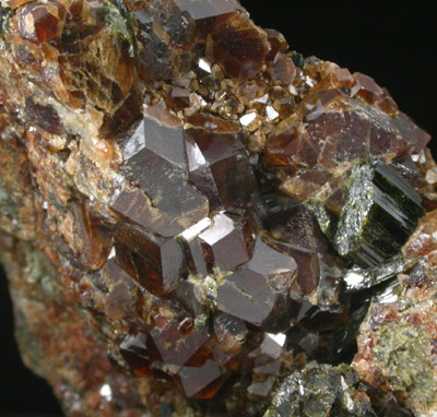 Grossular Garnet, Epidote, Quartz from Denny Mountain, King County, Washington