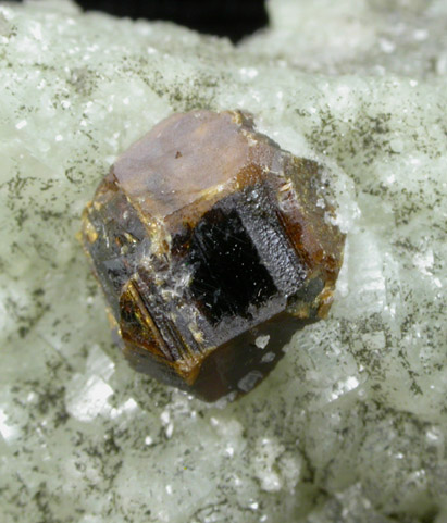 Sphalerite on Prehnite from Millington Quarry, Bernards Township, Somerset County, New Jersey