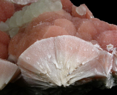 Pectolite with Prehnite and Apophyllite from Millington Quarry, Bernards Township, Somerset County, New Jersey