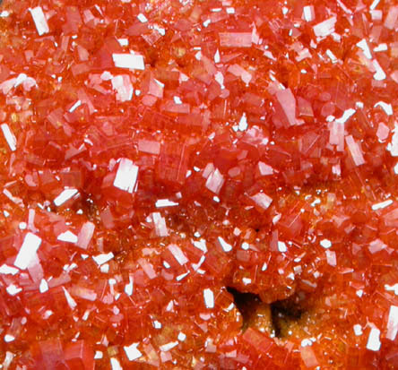 Vanadinite from North Geronimo Mine, La Paz County, Arizona