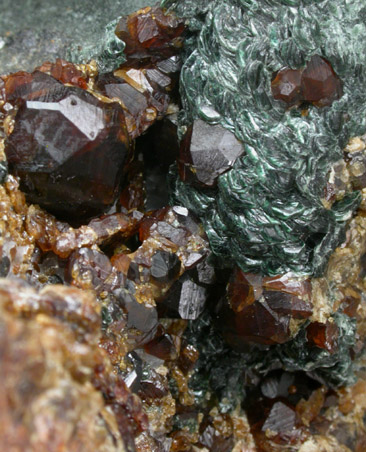 Grossular Garnet with Clinochlore from Virginia Lime and Marble Quarry, 1 mile south of Mountville, Loudoun County, Virginia