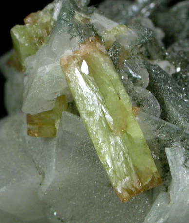 Titanite, Orthoclase var. Adularia, Chlorite, Albite from Valle d'Aurino, Bolzano, Italy