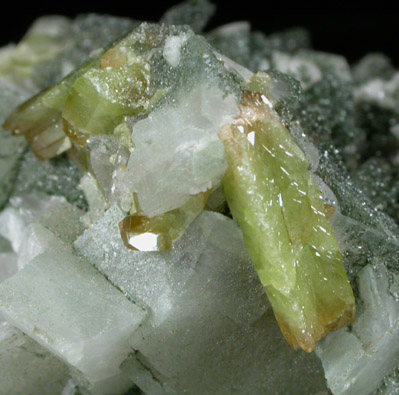 Titanite, Orthoclase var. Adularia, Chlorite, Albite from Valle d'Aurino, Bolzano, Italy