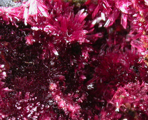 Erythrite from San Bernardo, Sonora, Mexico