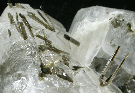 Actinolite on Calcite from Alchuri, Shigar Valley, Skardu District, Baltistan, Gilgit-Baltistan, Pakistan