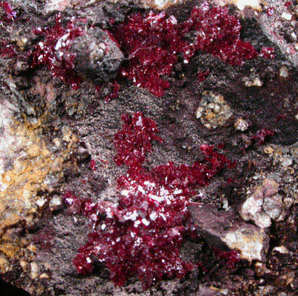 Cuprite (reticulated crystals) from Ray Mine, Mineral Creek District, Pinal County, Arizona