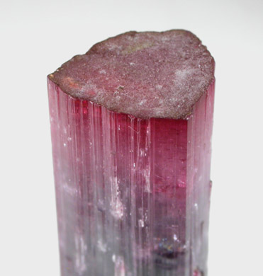 Elbaite Tourmaline from Pederneira Mine, Sao Jose da Safira, Minas Gerais, Brazil