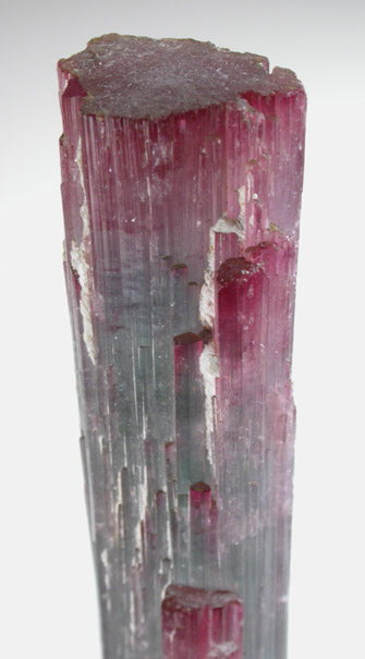 Elbaite Tourmaline from Pederneira Mine, Sao Jose da Safira, Minas Gerais, Brazil