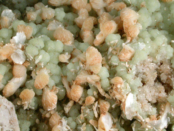 Analcime, Stilbite, Prehnite, Natrolite, Calcite, Quartz from Upper New Street Quarry, Paterson, Passaic County, New Jersey